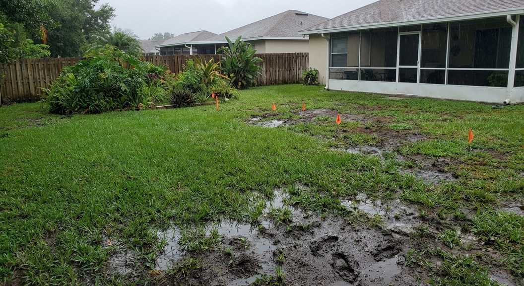 Why Your Lakeland Yard Stays Wet Near the Drain Field