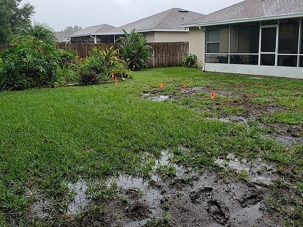 Why Your Lakeland Yard Stays Wet Near the Drain Field